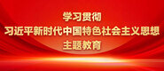 日B毛片学习贯彻习近平新时代中国特色社会主义思想主题教育_fororder_ad-371X160(2)